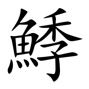 鯚